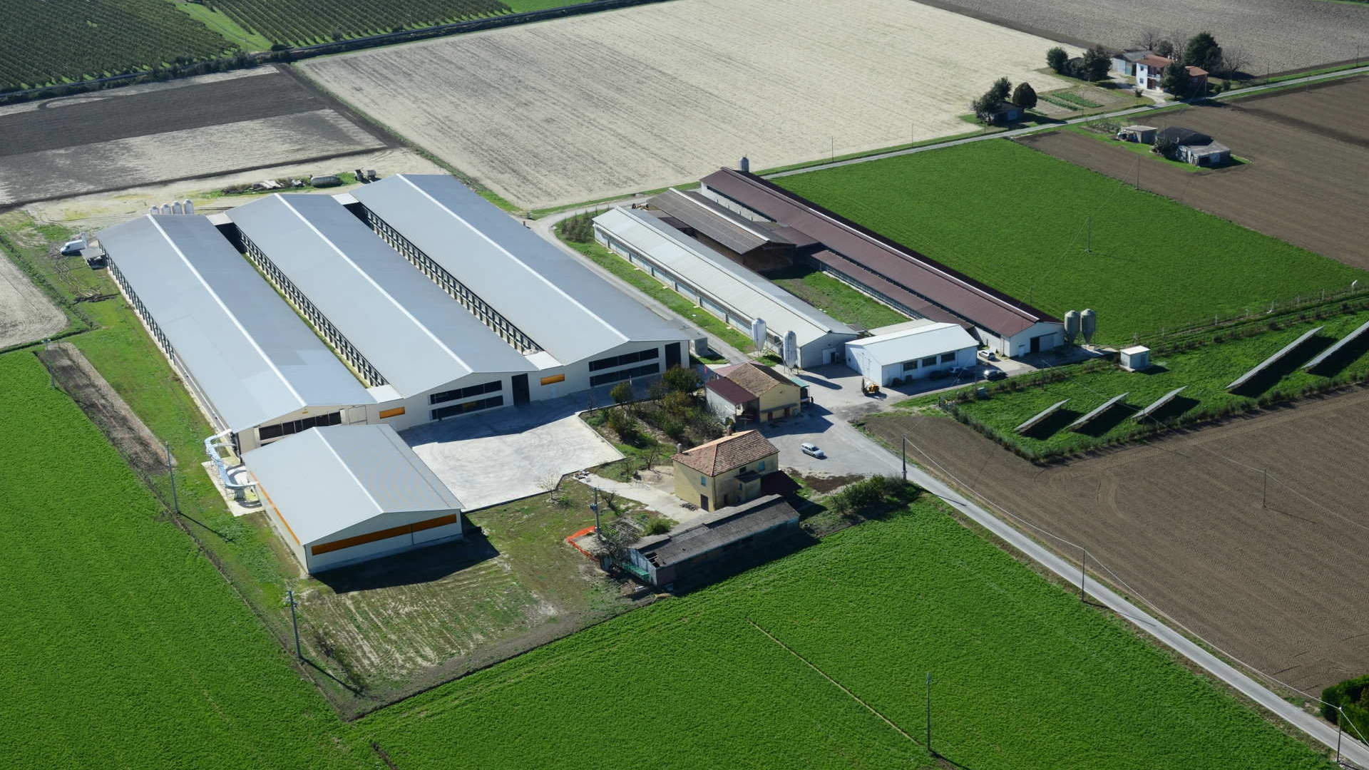 Azienda agricola Mordenti Germano - Fattoria Mordenti