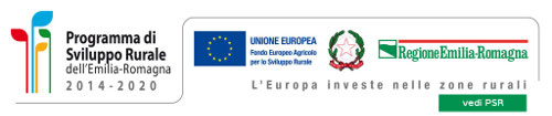 PSR 2014 2020 mordenti germano 500